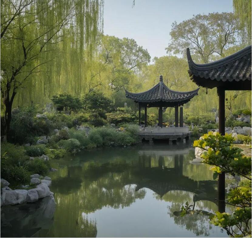 上海静安飞风餐饮有限公司